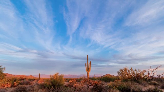 Arizona Sunset Time Lapse With Cactus & Moon 