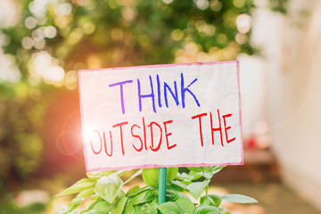 Conceptual hand writing showing Think Outside The. Concept meaning Creative Thinking Looking in different perspective Plain paper attached to stick and placed in the grassy land