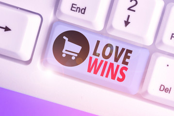 Handwriting text Love Wins. Conceptual photo used to celebrate or commemorate the victory of...