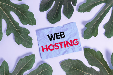 Conceptual hand writing showing Web Hosting. Concept meaning business of providing storage space...