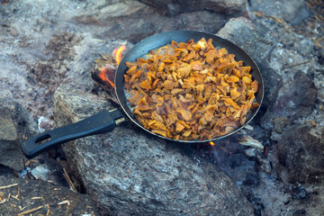 fried chanterelles in a pan