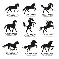 Set of Horse Logo Design Icon Symbol. Horse Vector. Horse Silhouette