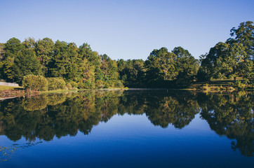 Fototapeta premium Reflection