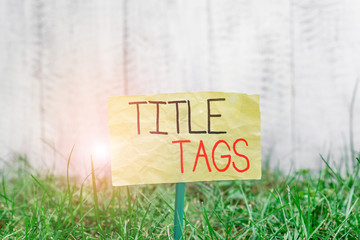 Handwriting text writing Title Tags. Conceptual photo the HTML element that specifies the title of a web page Plain empty paper attached to a stick and placed in the green grassy land