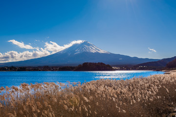 富士山