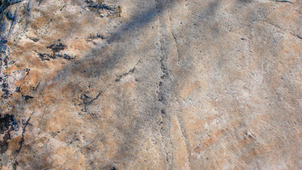 the surface of the stone texture closeup