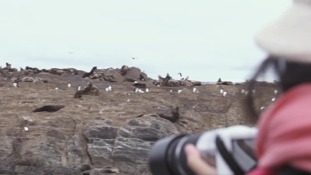 Tourists taking photos of Penguins and Sea Lions on an Island in the Beagle Channel, Argentina. 