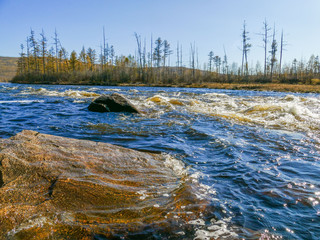 rough mountain river and rocks on the background of the forest