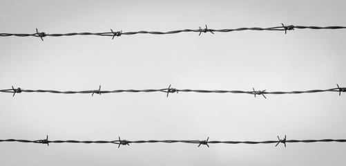 barbed wire