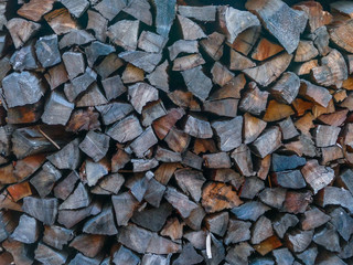 Old chopped wood stacked in a pile