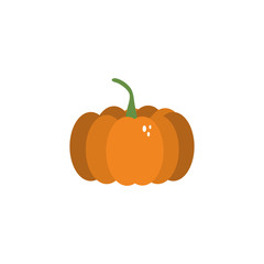 vegetable pumpkin flat style icon