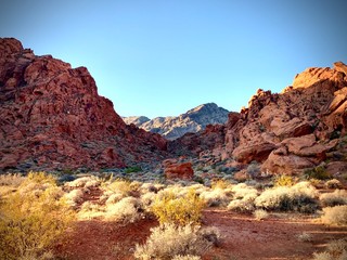 Valley of Fire Mountain View