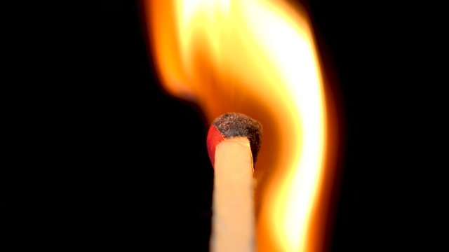 Fire consuming the tip of a matchstick. Black background, static shot.