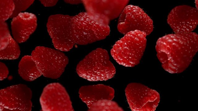 Exploding raspberries with water on a black background. Filmed on high speed cinema camera, 1000fps.
