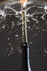 Obraz na płótnie Canvas Cork flies out of a champagne bottle with a stream and splashes of wine