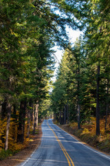 Fototapeta premium Eastern Washington Road with Fall Colors