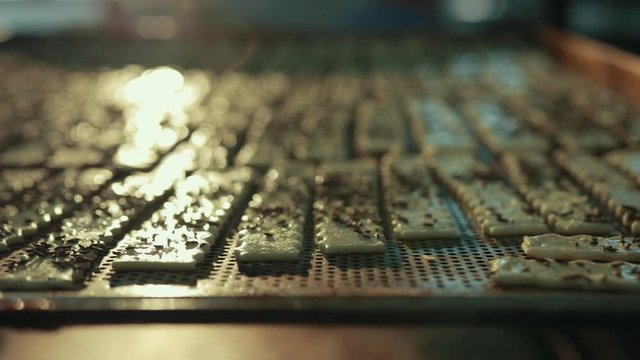 Pieces of dough, pastry, sprinkled with cumin, lay on tray in oven. Process of baking crispbread flat thin with cereal, caraway by heating in oven.