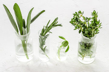 Healing herbs in glasses on white background