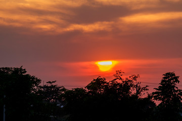 Big red sun is falling from clouds at sunset with silhouette of tree