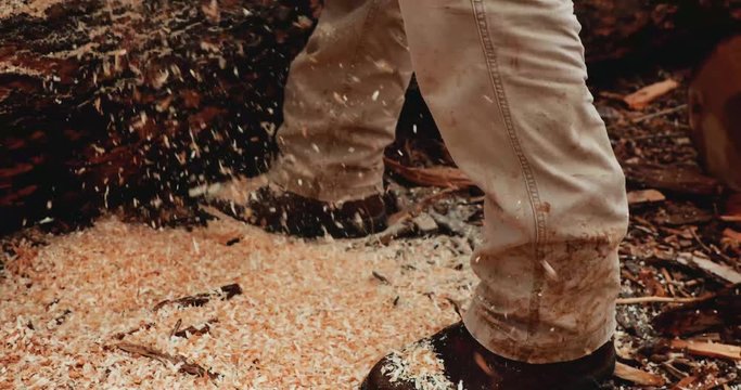 sawdust falling at feet coming from a chainsaw cutting a log