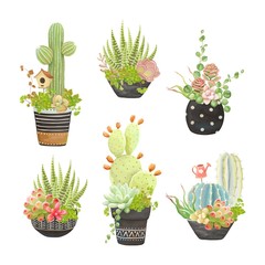 Set of flower pots with cacti and succulents, vector illustration in vintage style.