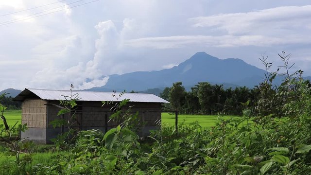 stedy shoot of a hut  in green pady field and blue mountain beind