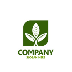 Leaf logo design. Green leaves logo design