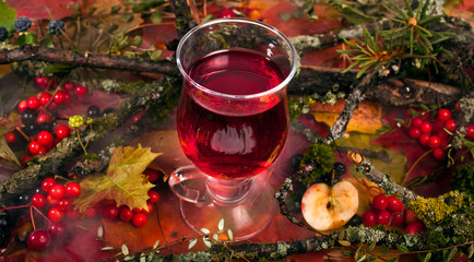 Mulled wine in a glass on a fallen autumn leaves background with berries, sliced apple and tree...