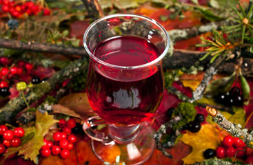 Mulled wine on a background of fallen autumn leaves with berries and branches. Autumn background.
