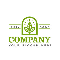 Leaf logo design. Green leaves logo design