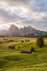 Sunrise and with morning mist among the meadow in Alpe di Siusi, Natural landscapes in Dolomites, Italy