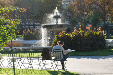 fountain spray in summer park