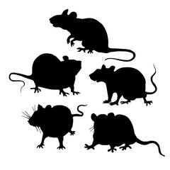 Black silhouettes of the rats. Vector illustrations.