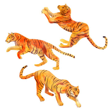 Watercolor Illustration Tiger Set, Hand Drawn Group Animal, Isolated Object On White Background.