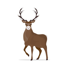 Deer for your design. Beautiful Deer in white background. Vector illustration, objects of isolation.