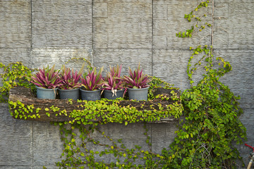 flowers on the wall