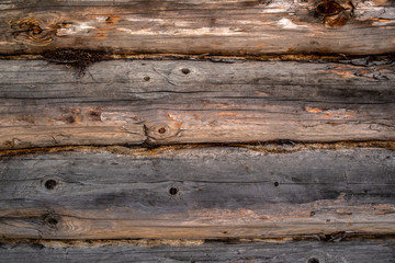 Obraz premium Natural wood planks abstract texture background