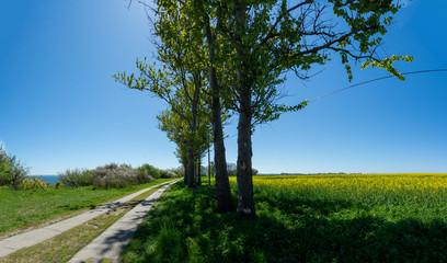 Hochuferweg Juliusruh, Drewoldke, Vitt auf R&uuml;gen