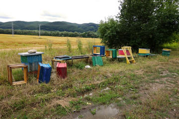 Plundered beehives near the field