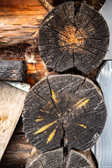 Wooden logs close up abstract texture background