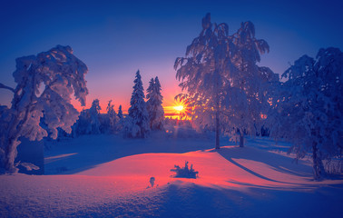 Cold winter day sunset landscape with snowy trees. Photo from Sotkamo, Finland. Background Heavy...