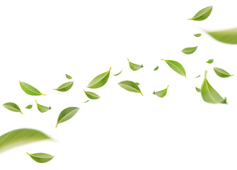 Flying whirl green leaves in the air, Healthy products by organic natural ingredients concept,...