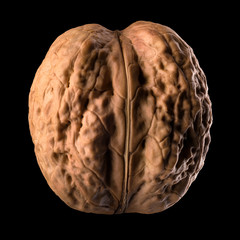 Macro photo of whole walnut isolated on a black background with clipping path