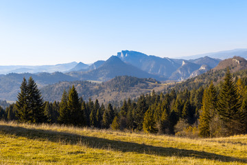 Panorama of mountains with spruces