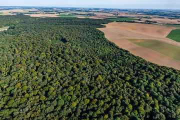 Foret axonaise