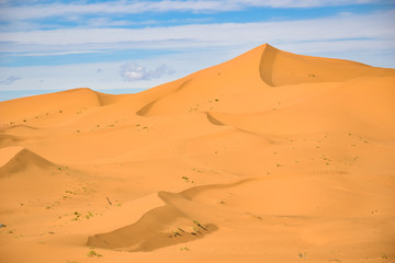 Sahara Desert, dunes in Morocco