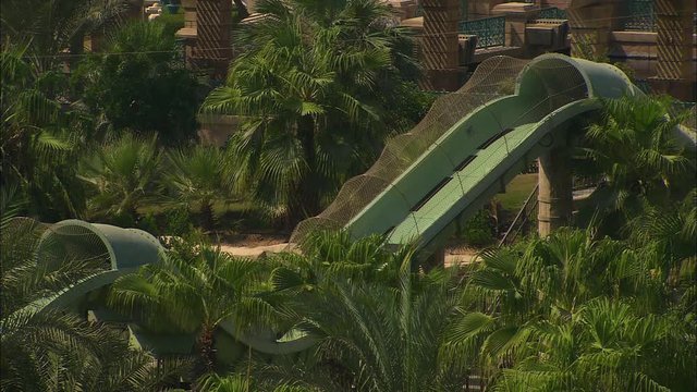 Close-up low-angle still shot of green curving waterslides passing through lush green palm trees, and people arriving for fun,  Aquaventure Water Park, The Palm Island, Dubai