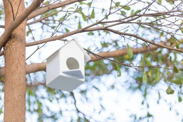 birdhouse on the tree.