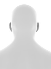 3d rendered medically accurate illustration of the human head