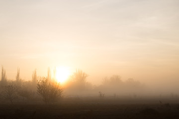 Fototapeta na wymiar foggy autumn morning